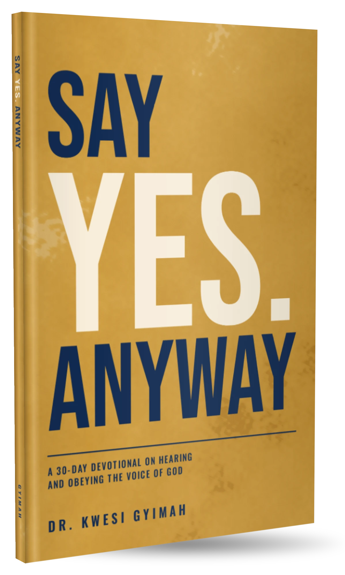 Say Yes Anyway by Dr. Kwesi Gyimah — book cover